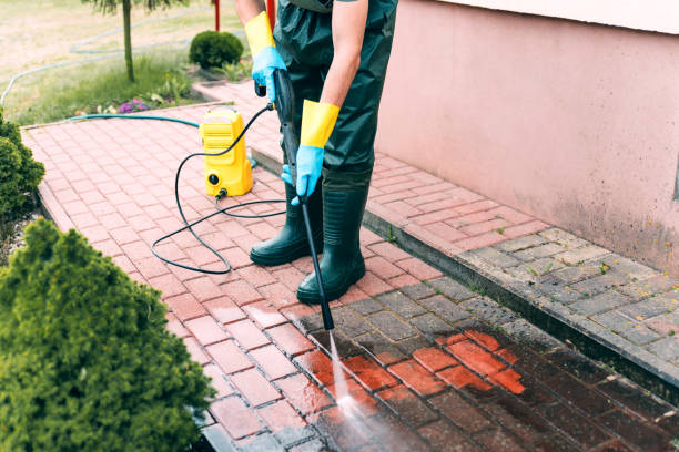 Best House Exterior Washing  in Tice, FL